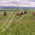 CHINE_MONGOLIE_INTERIEURE_steppe_a_l_ouest_du_Grand_Khingan_gardien_de_chevaux_nomade.jpg