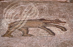 BULLA REGIA - amphithéâtre : mosaïque représentant un ours au centre de l'orchestre
