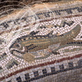 BULLA REGIA - thermes des Venantii : mosaïque décorant les bords d'une baignoire 