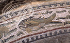 BULLA REGIA - thermes des Venantii : mosaïque décorant les bords d'une baignoire 
