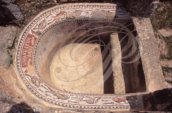 BULLA REGIA - thermes des Venantii : baignoire sabot décorée de mosaïque
