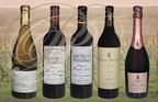 CIEURAC - Domaine de HAUTE-SERRE : bouteilles du domaine sur fond de vignoble (appellation CAHORS)