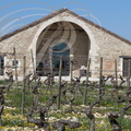 CIEURAC - Domaine de HAUTE-SERRE : les Chais et le restaurant au milieu des vignobles (appellation CAHORS) 