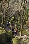 BACH - Parc Naturel Régional des Causses du Quercy - Causse de Limogne -  Phosphatières du Cloup d Aural