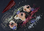 Sashimi de HOMARD juste mariné sur une tuile de farine de lentilles, caviar de hareng fumé, réduction de betterave rouge (Le Pois Gourmand à Toulouse - 31)