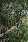 BRASSAC - Les Cabanes perchées : La Cabane "Céleste"  (le pont de singe)