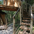 BRASSAC - Les Cabanes perchées : Les Cabanes "Chant de la Nature"  (escalier d'accès)