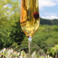 Cocktail : crème pomme châtaigne rallongée de jus de pomme et de vin de Vouvray, cerise à l'eau de vie maison (Auberge de Benges à Collonges-la-Rouge - 19)
