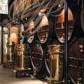 Distillerie DENOIX à Brive-la-Gaillarde (19) - foudres de vieillissement en chêne et cuves de filtrage
