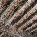 CASTELNAU-DE-MONTMIRAL - Château de MAYRAGUES : le salon (plafond peint du XVIIe siècle) 