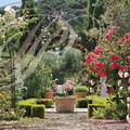 LISLE_SUR_TARN_Chateau_de_Saurs_le_jardin_la_roseraie.jpg