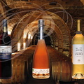 LISLE-SUR-TARN - Château de Saurs : le chai à barriques sous le château (bouteilles GAILLAC AOC)