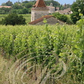 SAINT-MATRÉ - Château Vent d' Autan :  les vignes Gaillac AOC