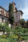 ALBI - Collégiale Saint-Salvi : le jardin du cloître