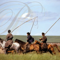 CHINE_MONGOLIE_INTERIEURE_cavaliers_et_leurs_perches_pour_capturer_les_chevaux.jpg