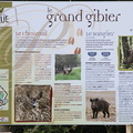 PERCHÈDE : Sentier Nature du Pesqué (panneau "Grand Gibier")