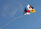 EAUZE (France - 32)  - FESTIVAL GALOP ROMAIN - démonstration de cerfs volants chinois