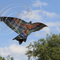 EAUZE (France - 32)  - FESTIVAL GALOP ROMAIN - démonstration de cerfs volants indonésiens : l'oiseau de proie