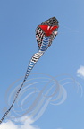 EAUZE (France - 32) - FESTIVAL GALOP ROMAIN - démonstration de cerfs volants chinois (le cobra)
