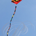 EAUZE (France - 32)  - FESTIVAL GALOP ROMAIN - démonstration de cerfs volants