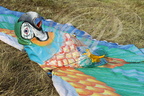 EAUZE (France - 32)  - FESTIVAL GALOP ROMAIN - démonstration de cerfs volants indonésiens : le perroquet (détail)