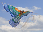 EAUZE (France - 32)  - FESTIVAL GALOP ROMAIN - démonstration de cerfs volants indonésiens : le perroquet