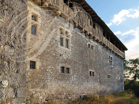 CASTELNAU- DE-MONTMIRAL - Château de MAYRAGUES : façade nord
