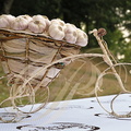 LAUTREC - fête de l'ail rose : concours de compostions artistiques (le tricycle)