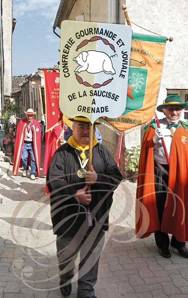LAUTREC_fete_de_l_ail_procession_des_confreries_dans_la_ville_Confrerie_gourmande_et_joviale_de_la_saucisse_de_Grenade_31.jpg