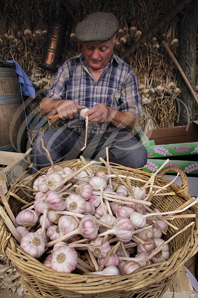 LAUTREC - Fête de l'ail rose : épluchage des têtes d'ail