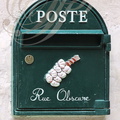 LAUTREC - rue Obscure : boîte aux Lettres décorée d'une manouille