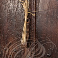 LAUTREC - fête du pain et du goût : épis de blé accrochés au heurtoir d'une porte (Place Centrale)