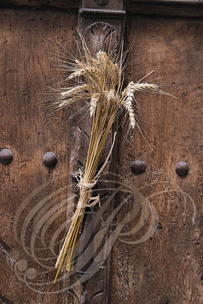 LAUTREC - fête du pain et du goût : épis de blé accrochés au heurtoir d'une porte