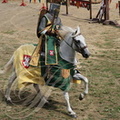 TERMES-D'ARMAGNAC - fête médiévale : "Les Faydits d'Oc" (tournoi avec Sire Yvan, Seigneur de Séquière) 