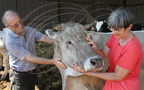 BARINQUE - Ferme de Clarmontine : René et Sophie Millet et une de leur vache "Brune des Alpes" nommée "Velours"