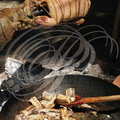 TERMES-D'ARMAGNAC - fête médiévale : Académie médiévale de Termes (cuisine médiévale : canette rôtie au feu de bois et anguilles grillées à la sauce verte (menthe, persil et cannelle)