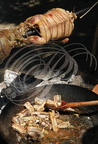 TERMES-D'ARMAGNAC - fête médiévale : Académie médiévale de Termes (cuisine médiévale : canette rôtie au feu de bois et anguilles grillées à la sauce verte (menthe, persil et cannelle)