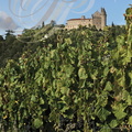 Château de Mercuès vu depuis la vallée du Lot et des vignobles
