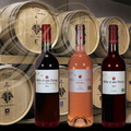 BRANCEILLES_cave_viticole_vins_dans_le_chai_a_barriques.jpg