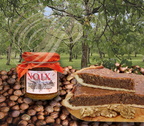 Confiture de NOIX et tarte aux NOIX par Lou Pé Dé Gril à Curemonte (Corrèze) 