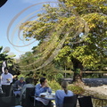 BEAULIEU_SUR_DORDOGNE_restaurant_Les_Flots_Bleus_la_terrasse_dominant_les_berges_de_la_Dordogne__.jpg