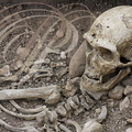 LA CHAPELLE-AUX-SAINTS - musée de l'homme de Néandertal au lieu-dit "Sourdoir" : squelette de l'homme de Néanderthal daté de 50 000 ans découvert en 1908 sur le site de la grotte "Bouffia Bonneval" (l'original se trouve au Musée de l'Homme à Paris)
