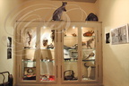 BEAULIEU-SUR-DORDOGNE -  La Maison Renaissance (musée) : le cabinet de curiosités
