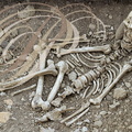 LA CHAPELLE-AUX-SAINTS - musée de l'homme de Néandertal au lieu-dit "Sourdoire" : squelette reconstitué tel qu il fut découvert en 1908 dans la grotte "Bouffia Bonneval"