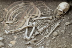 LA CHAPELLE-AUX-SAINTS - musée de l'homme de Néandertal au lieu-dit "Sourdoire" : squelette reconstitué tel qu il fut découvert en 1908 dans la grotte "Bouffia Bonneval"