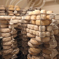 Fromagerie "Les Paulinetoises" à PAULINET (81) : fromages de brebis dans la cave d'affinage