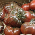 TOMATES (Solanum lycopersicum) variété "noire de Crimée" (Calvet Primeurs , Les Halles à Cahors - 46)