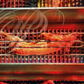 LES GRANDS BUFFETS à NARBONNE - la rôtisserie : cochon de lait à la broche devant un grill vertical