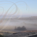 Brouillard de vallée (STRATUS) au lever du soleil en hiver