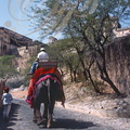 INDE (Rajasthan) - AMBER :  le palais (accès à dos d'éléphant)